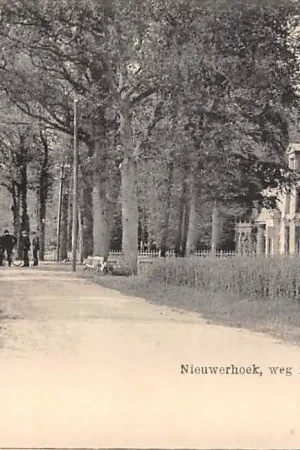 Soest Nieuwerhoek weg naar Soestdijk met Molenweg, de latere Julianalaan Nauta 1830 HC40024 Oferta limitowana