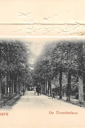 Darmowa dostawa Baarn De Noorderlaan Reliëfkaart 1900 HC40082
