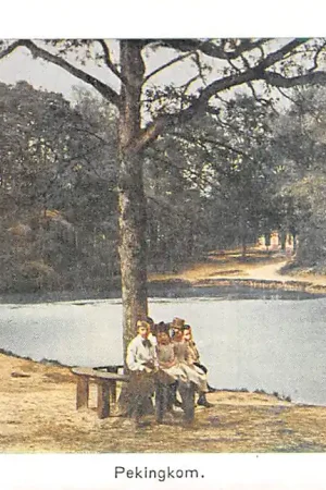 Baarn Pekingkom Nauta 10678 HC40069 Szybka dostawa