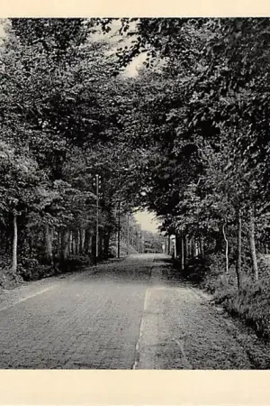 Soesterberg Het Topje Soest HC39986 Oryginalny