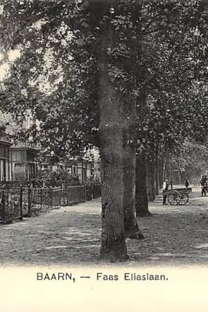 Baarn Faas Eliaslaan 1911 Nauta 3986 HC39699 Tani