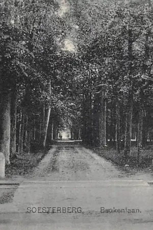 Soesterberg Beukenlaan 1921 (Nauta) 9305 HC39000 Niska cena