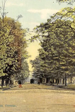 Utrecht Maliebaan 1908 Tulp HC34460 Oferta