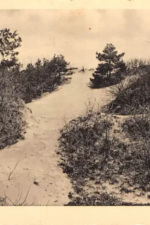 Soest Soester Duinen 1943 HC34148 Wysoka jakość