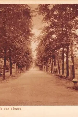 Autentyczny Huis ter Heide Panweg Nauta A 2977 Zeist HC33837