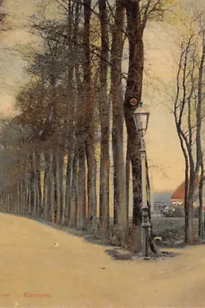 Wyprzedaż Maarssen Binnenweg 1908 Tulp HC33542