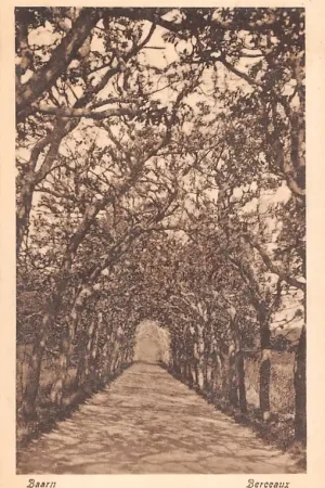 Baarn Berceaux 1924 HC33388 Bezpieczna płatność