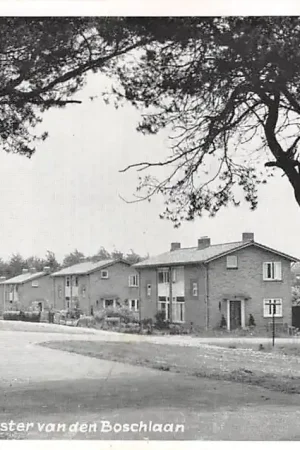 Tani Leersum Burgemeester van den Boschlaan HC32870