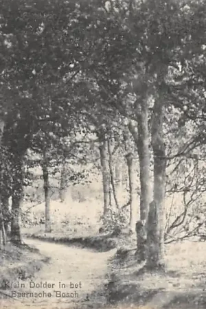 Baarn Klein Dolder in het Baarnsche Bosch HC32458 Wyprzedaż