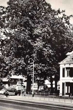 Soest Nieuwerhoek 1960 HC28627 Niska cena