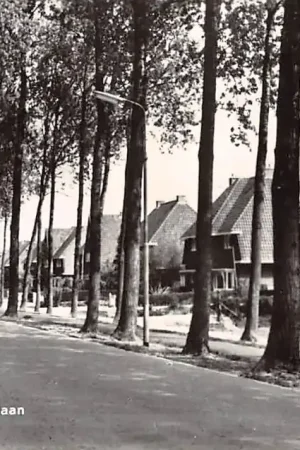 Soest Stadhouderslaan HC28626 Premium