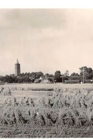 Soest De Eng HC28620 Autentyczny