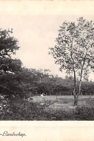 Autentyczny Soesterberg Heide-Landschap 1941 Soest HC28189