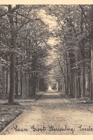 Szybka dostawa SoesterbergLaan Groot Sterrenberg 1936 Soest HC28156