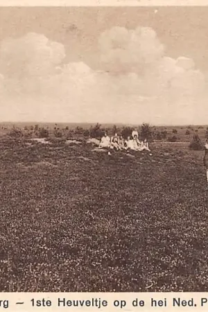 Soesterberg 1ste Heuveltje op de hei Ned. Prot. Bons Soest HC28126 Oryginalny