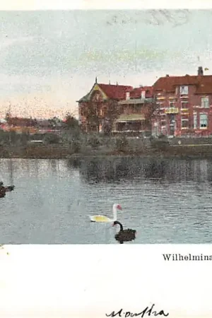 Utrecht Wilhelminapark 1904 HC24599 Oryginalny