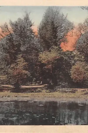 Zwrot pieniędzy Baarn Beuken Kom 1916 HC23045