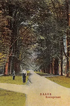 Tani Baarn Koningslaan 1911 HC19033