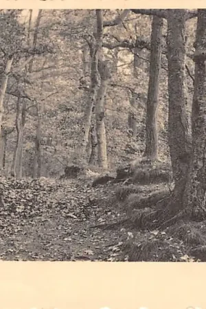 Baarn In het Bosch 1935 HC19008 Zwrot pieniędzy