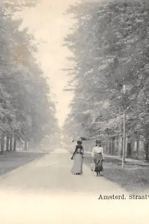 Tani Soestdijk Amsterdamsche Straatweg Nauta N. 883 Baarn HC19289