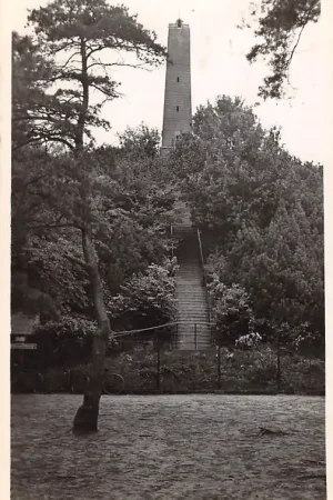 Wysoka jakość Zeist Maarn De Pyramide van Austerlitz 1950 HC17807