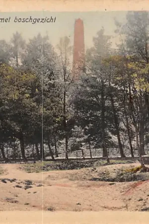 Zeist Maarn Pyramide van Austerlitz met boschgezicht HC17788 Oferta