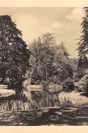 Driebergen Vijver Huize Welgelegen 1932 HC15894 Promocja