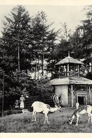 Driebergen Hertenkamp 1935 HC15864 Popularny