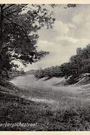 Soest Bosch bij Soesterbergschestraat 1942 HC15628 Darmowa dostawa