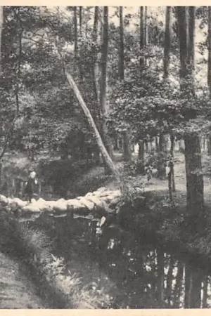 Zamów teraz Zeist Keienbrug in het Zeister Bosch HC15627