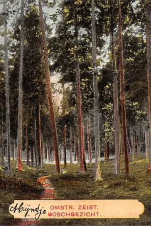 Zeist Omstreken Boschgezicht HC15091 Darmowa dostawa