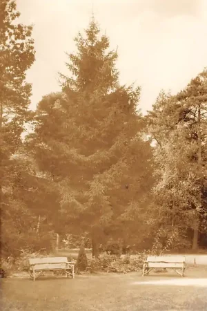 Wysoka jakość Zeist Krakelingweg 53 Sichting de Zeemanspot Witte Hull. 1955 HC14519