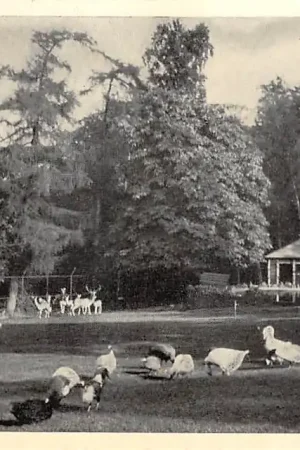 Szybka dostawa Baarn Dierenpark HC13969