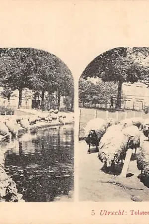 Bezpieczna płatność Utrecht Tolsteegsingel met kudde schapen Stereo-ansichtkaart HC13243