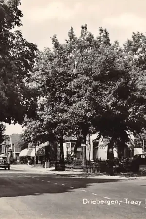 Driebergen Traay hoek Arnhemse Bovenberg HC11316 Ekspresowa dostawa