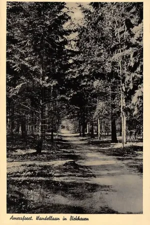Tylko dziś Amersfoort Wandellaan in Birkhoven 1941 HC7591