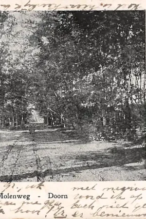 Doorn Molenweg 1902 HC8512 Oryginalny