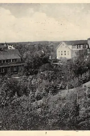 Tylko dziś Den Dolder W.A. Hoeve Zeist HC5074