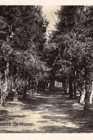 Zamów teraz Amersfoort Boschgezicht Birkhoven 1929 HC771