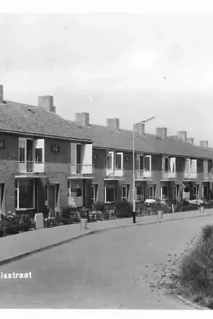 Tholen Janvan Bloisstraat 1961 HC57741 Tani