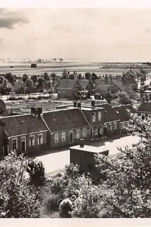 Borssele Zuid-Beveland 1948 HC56912 Autentyczny