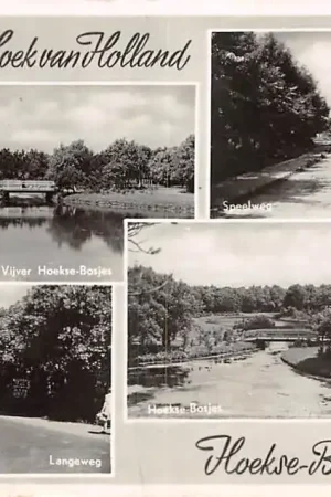 Zwrot pieniędzy Hoek van Holland Hoekse Bosjes Vijver Lange weg Speelweg 1956 HC49719