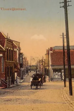 Terneuzen De Vlooswijkstraat 1915 HC43769 Wysoka jakość