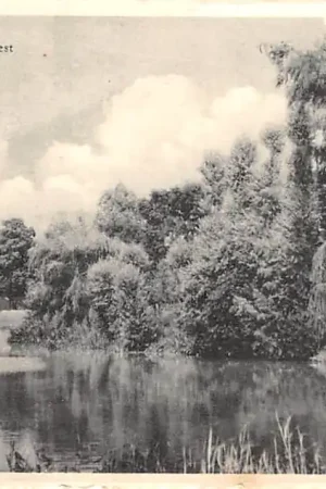 Goes West-Vest 1954 HC42488 Rabat