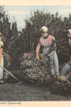 Zeeland Zuid-Bevelandsche Kleederdracht Tuiniersters in klderdracht 1935 Goes HC29377 Niska cena