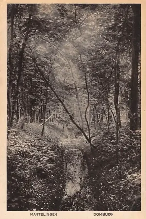 Domburg Mantelingen 1921 HC26253 Wysoka jakość