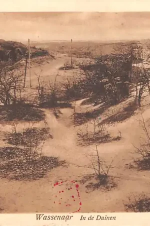 Wassenaar In de Duinen 1929 's-Gravenhage HC61512 Rabat
