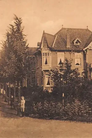 Boskoop Reijerskoop 1915 Nauta A 252 HC60976 Bezpieczna płatność