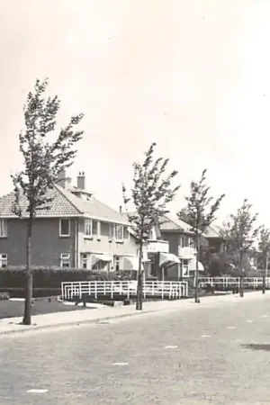 Wyprzedaż Boskoop Zijde 1957 HC60725