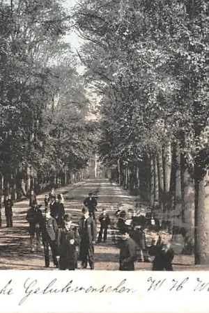 Tylko dziś 's-Gravenhage Scheveningsche weg met wandelaars 1900 HC60450